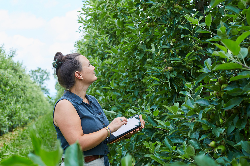 Die Landwirtin Charlotte Otte, Geschäftsführerin des Obsthofs Otte, auf einer Obstplantage.